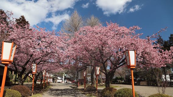 Serada Toshogu Shrine