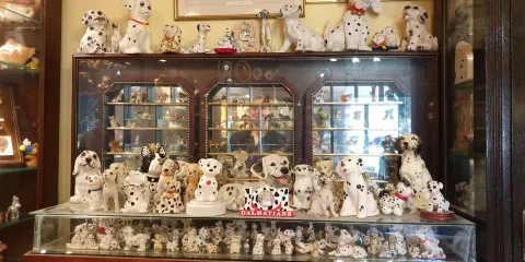 Dog Museum