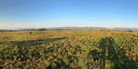 Mkhuze Game Reserve