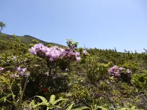 諏訪之瀬島