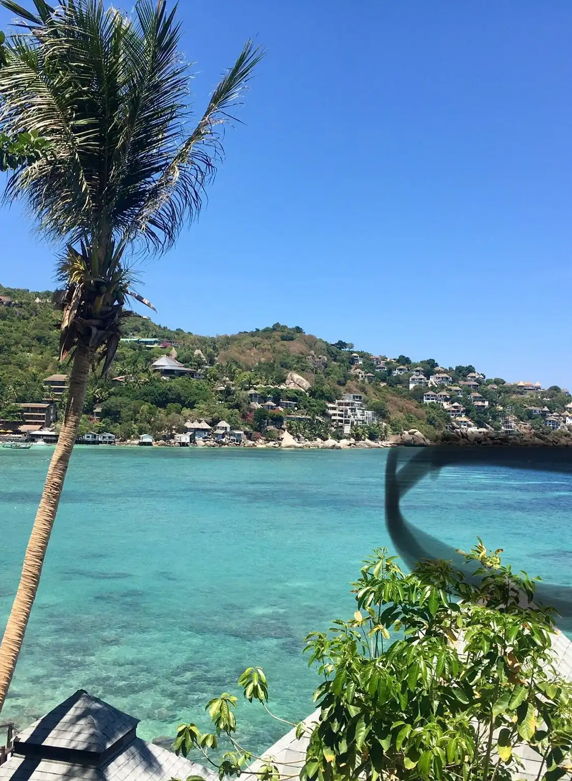 Hotels near Shark Bay