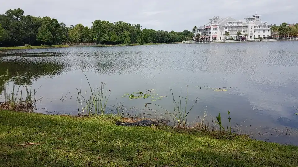 5_Lake Rianhard