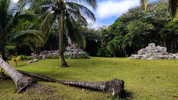 Playa Del Carmen