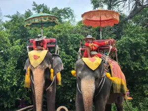 Chang Puak Elephant Camp Hat Yai