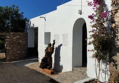 Ghazoua