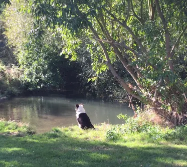 Hartham Common Park
