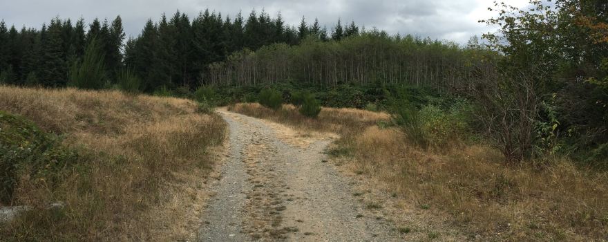 Black Diamond Natural Area