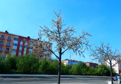 Norilsk urban okrug