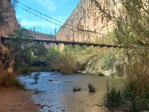 Puentes Colgantes
