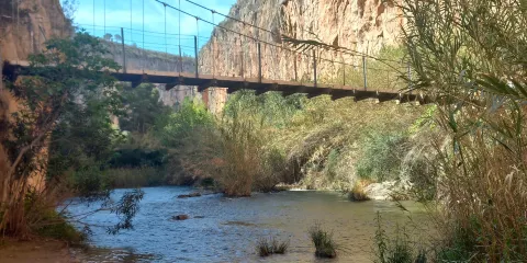 Puentes Colgantes