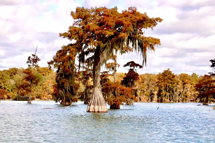 Hotels near Atchafalaya Basin Bridge