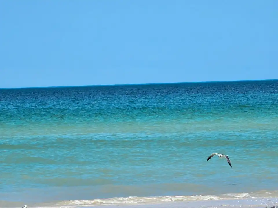 5_Playa de Progreso