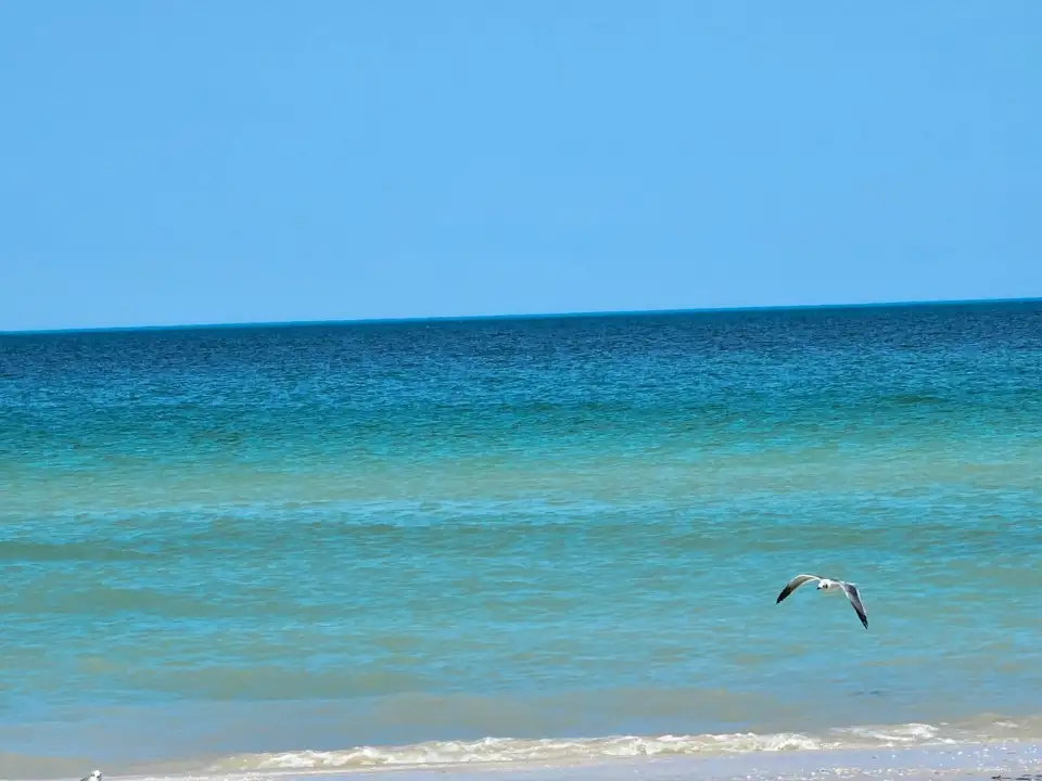 5_Playa de Progreso