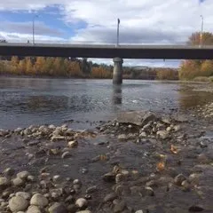 McMillan Creek Fishing Park