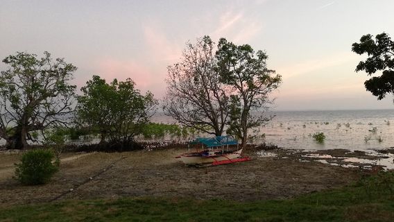 Maribojoc