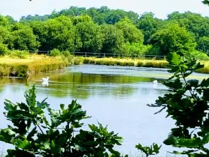 Reserve Naturelle des Pres Sales d'Ares et de Lege