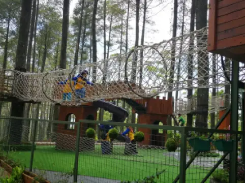 Orchid Forest Cikole