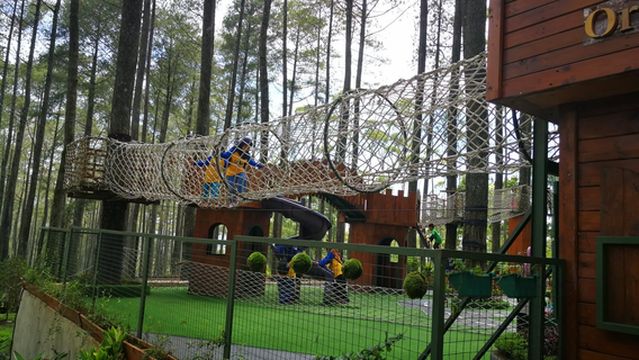 Orchid Forest Cikole