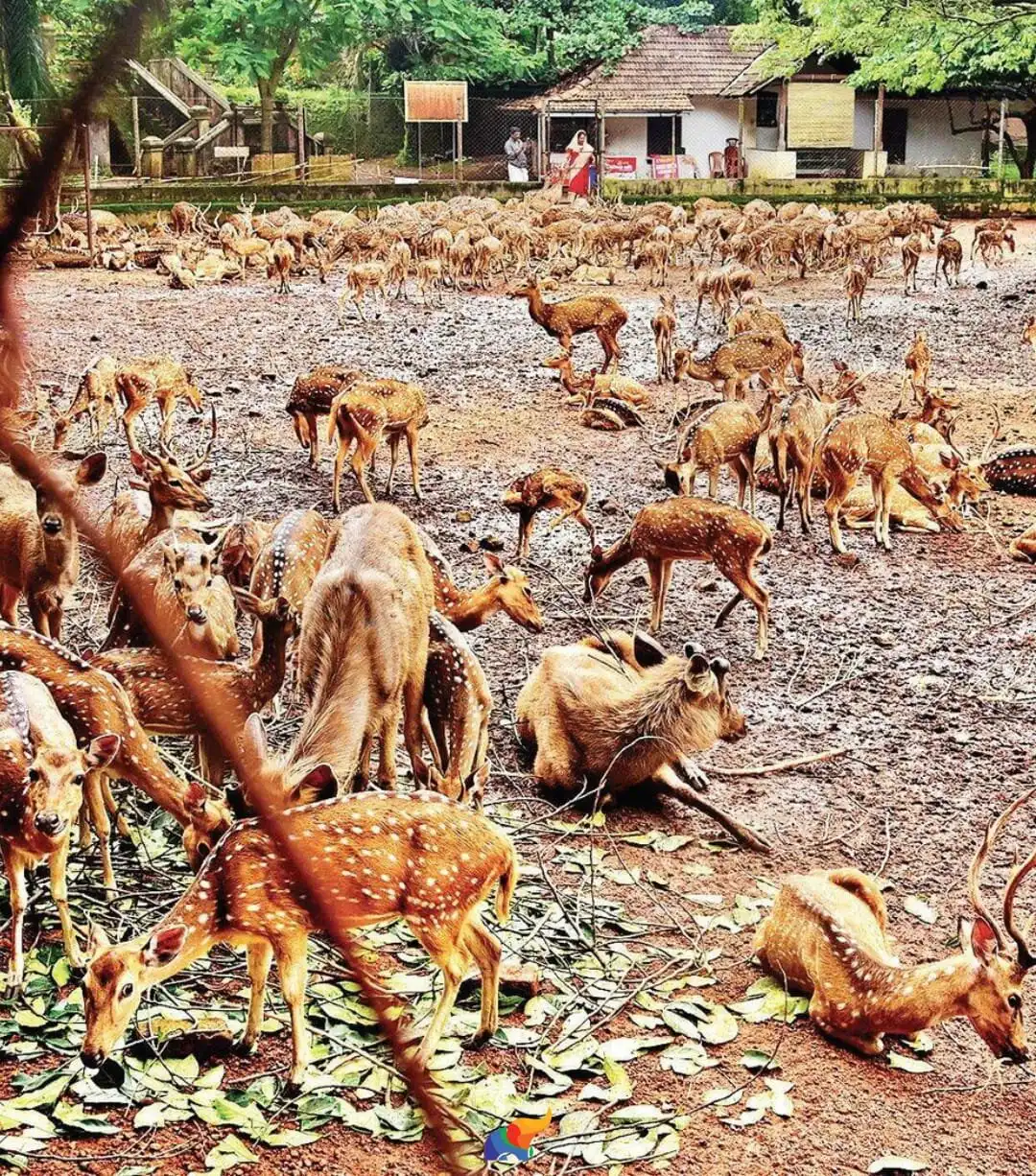 Hill Palace Museum附近的飯店