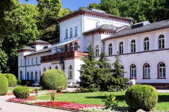 陶努斯山麓巴特索登酒店