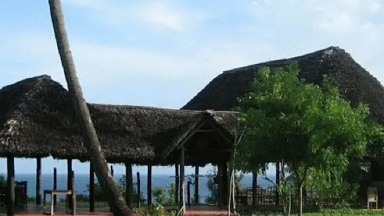 South mafia island whale shark safari