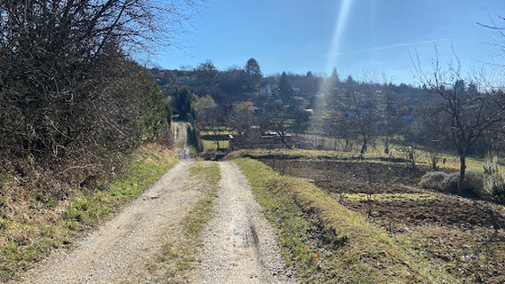 Záhradkarska oblasť - Chrásť