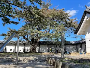 Joyama Park