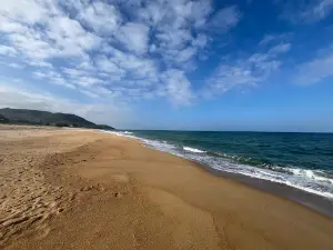 Bãi Tắm Phổ Vinh