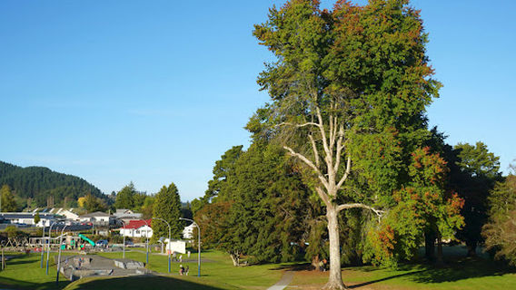 Taumarunui Domain