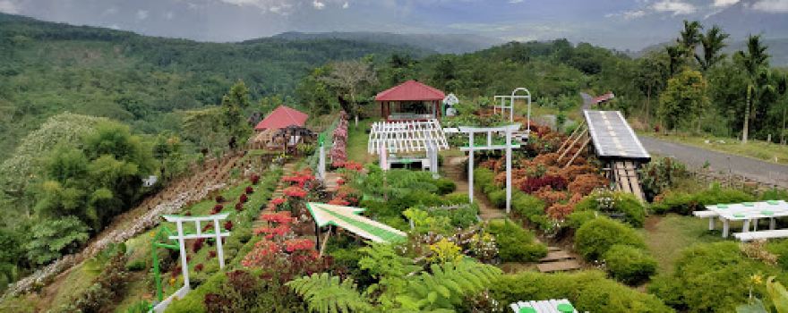 Puncak Pinang Awan