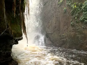 Reserva Ecológica Cachoeira Santuário