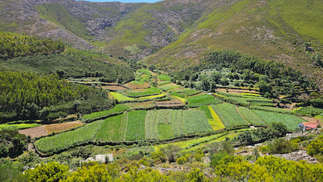 Minas de Regoufe / Complexo mineiro da Poça da Cadela