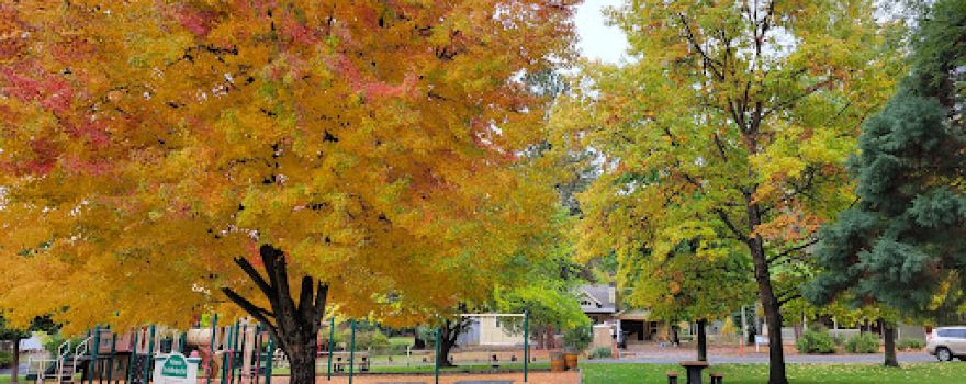 Doc Griffin Park