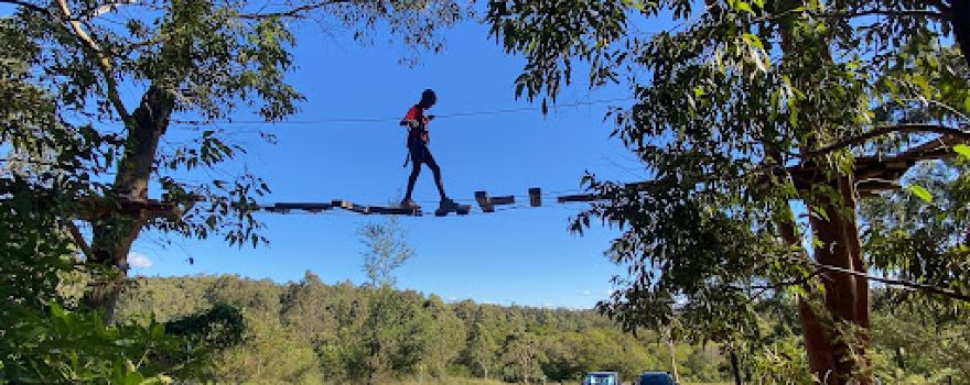 Treetops Adventure Newcastle