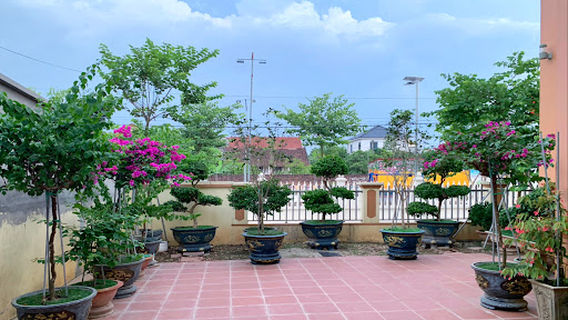 Liam Garden
