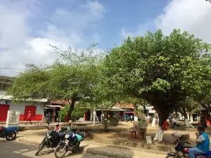 Parque