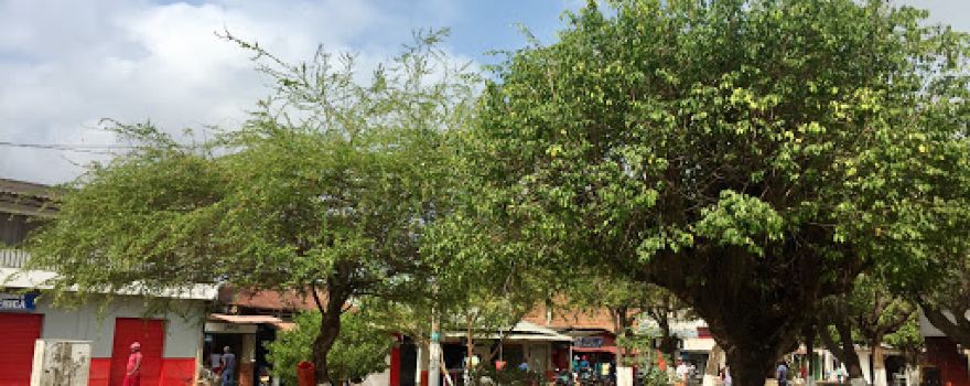 Parque