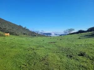 Alto del Cordal