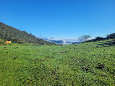 Alto del Cordal