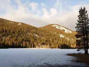 Crystal Springs Campground