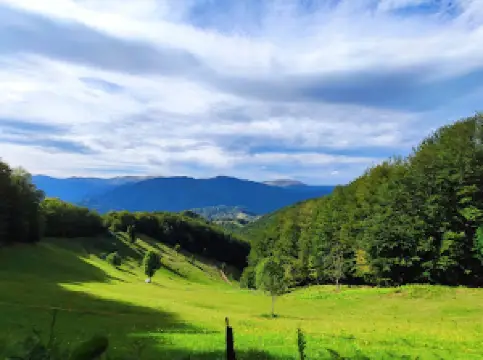 Via Transilvanica