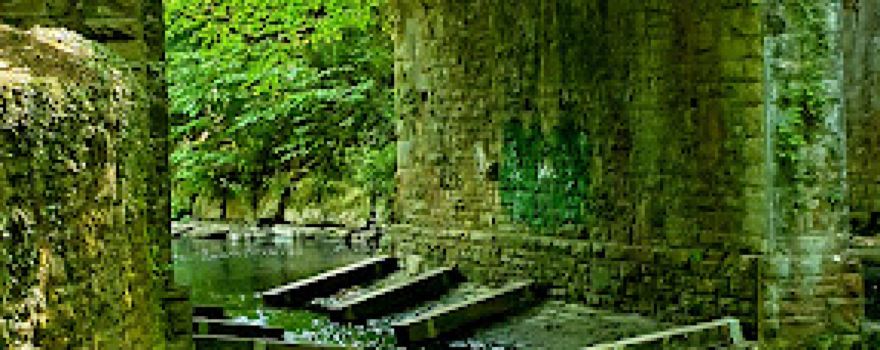River Ely