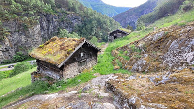 Galdane