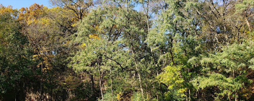 The Canyons Disc Golf Course