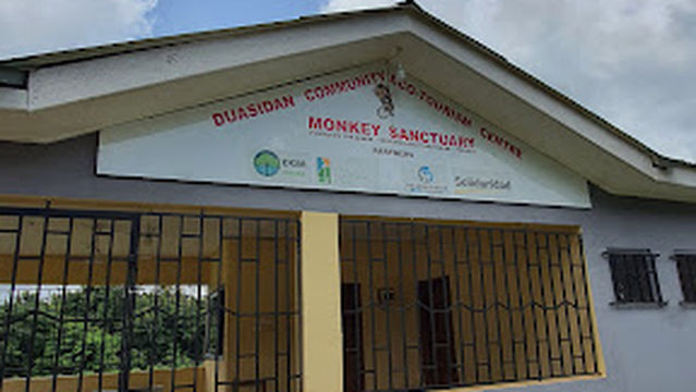 Dormaa Ahenkro - Gonnokrom road akontanemikrom - Duasidan