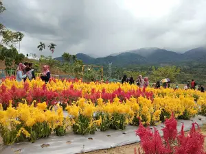 Taman Bunga Geunie