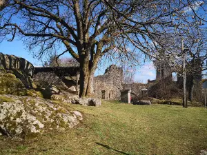 Burgruine Brennberg