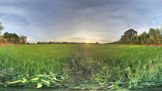 วัดถ้ำวัวแดง