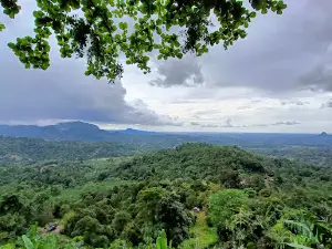 Cagar Alam Taba Penanjung