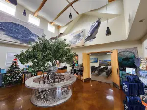 Apollo Beach Visitor Center